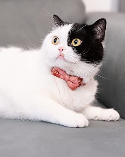 Collar for Cat Pet Breakaway with Bell Bowtie Detachable Bow Adjustable Safety Kitten Puppy Girl Boy 2pcs Kimono-Blue & Pink - color: Kimono-Blue & Pink