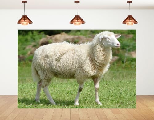 4x4ft Fabric Fluffy Wool Sheep Backdrop White Curly Coat Lush Bright Green Grass Blurred Wild Bush Pasture Background Tapestry Party Farm Birthday Wall Decorations Photo Booth Props - size: 4x4ft