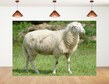 4x4ft Fabric Fluffy Wool Sheep Backdrop White Curly Coat Lush Bright Green Grass Blurred Wild Bush Pasture Background Tapestry Party Farm Birthday Wall Decorations Photo Booth Props - size: 4x4ft