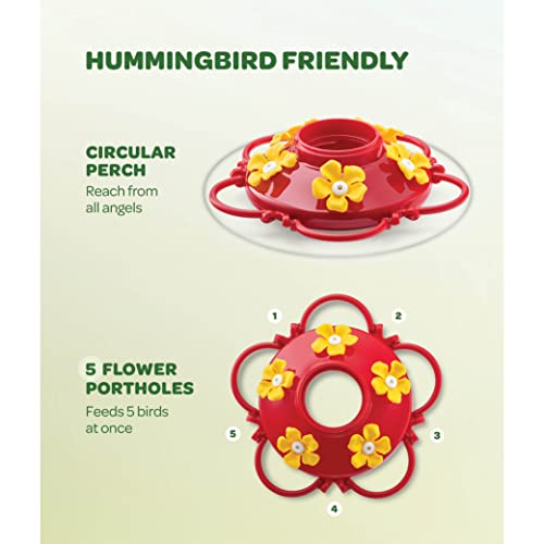 Glass Hummingbird Feeder 10oz [Set of 2] Ant Guard & Wide Mouth Leakproof - size: 10 oz - 2 Pack