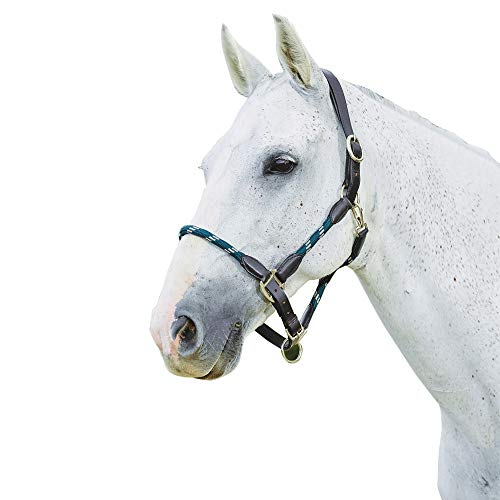 Kincade Leather Rope Halter, Hunter Green/Brown, Cob - color: Hunter Green/Brown, size: Cob