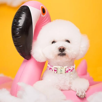 Elegant little tail Dog Collar-Cute Pet Dog Collar Pink Flamingos Print Cotton Soft Girl Puppy Adjustable Pet Collars for Small Medium Large Dogs - color: Flamingo, size: X-Small (Pack of 1)