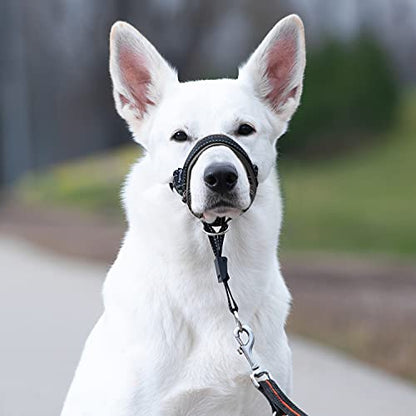 GoodBoy Dog Head Halter with Safety Strap - Stops Heavy Pulling On The Leash - Padded Headcollar for Small Medium and Large Dog Sizes - Head Collar Training Guide Included (Size 3, Black) - color: Black Nylon / Black Padding, size: Size 3 (Pack of 1)