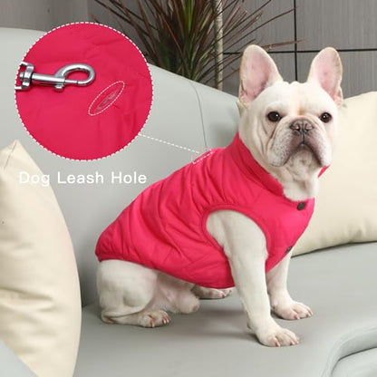 JoyDaog Fleece Lined Dog Jacket for Small Dogs,Winter Dog Coat,Pink M - color: Pink, size: Medium
