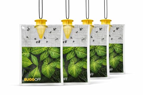 BUGGOFF - 4 Pack Outdoor use only, Disposabe Hanging Fly Traps with Natural Pre-Bait, Catches Flyes everywhere anywhere, Stables, Ranches, Cottages and More. Discrete design, Easy fill and hang setup!