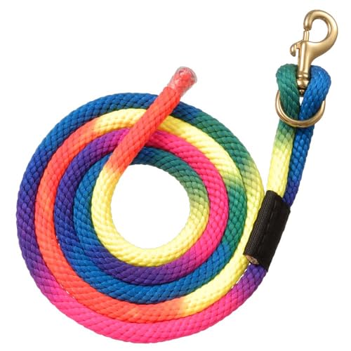 Tough 1 Nylon Rainbow Lead with Replaceable Bolt Snap - Rainbow