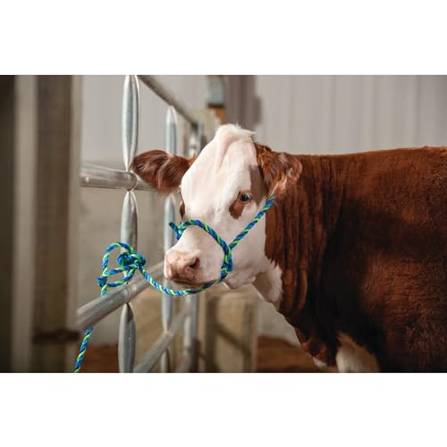 Weaver Leather Unisex Adult Livestock Rope Halter, Blue/Hurricane Blue/Lime, Cow US