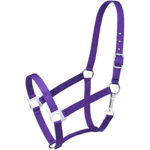 Tough1 Economy Yearling Halter - color: Purple