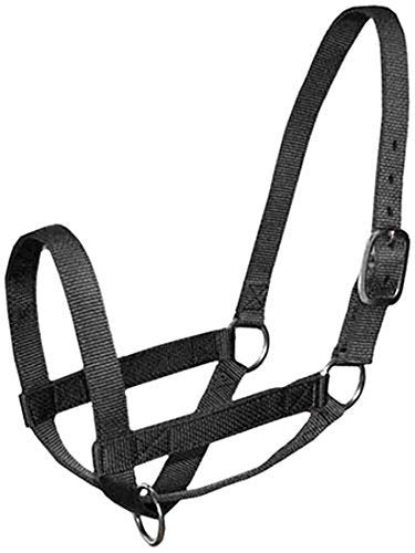 Derby Originals Adjustable Nylon Livestock Cattle Halters - color: Black, size: Medium (500-800lbs)
