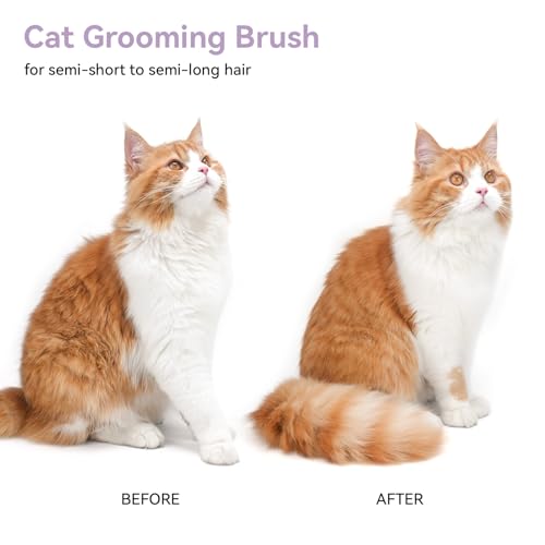 aumuca Cat and Dog Grooming Brush for Shedding, Removes Loose Fur from Long or Short Haired Pets - Ideal for Cats, Kittens, Rabbits, and More - Purple | Self Cleaning Pet Brush for Long or Semi-Short Haired Cats, Removing Loose Fur & Tangles and Massage -
