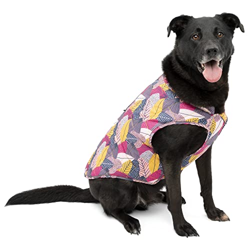 Kurgo Loft Jacket, Fall Festival, Extra Small - color: Fall Festival, size: Extra Small