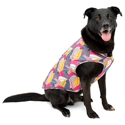 Kurgo Loft Jacket, Fall Festival, Extra Small - color: Fall Festival, size: Extra Small