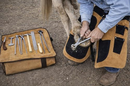 CHALLENGER 8 Piece Horse Shoe Farrier Hoof Grooming Tool Kit Carry Bag Apron Leather 98479
