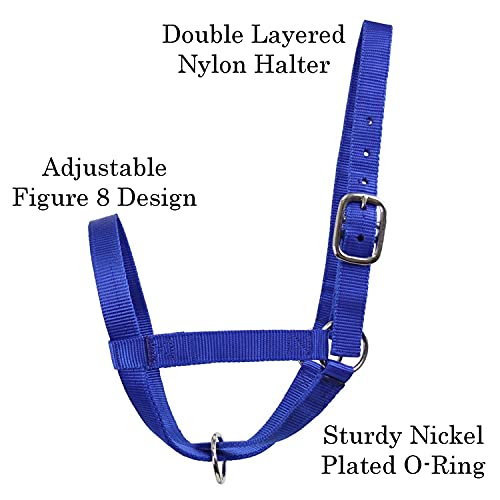 Derby Originals Adjustable Nylon Livestock Cattle Halters - color: Royal Blue, size: Medium (500-800lbs)