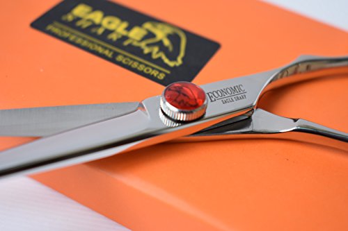 Professional Hair Cutting Scissors/Shears 6.0" Convex Edge Blade Japanese Process Stainless Steel Shears (6.0" cutting) - style: 6.0 Inch