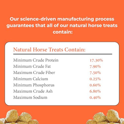 Kelcies Pumpkin Spice Horses Treats - Low Sugar, Starch, and Carbohydrates | Healthy Treats for Horse Supports Superior Digestion 2 Pounds (Pack of 2) - size: 1 Pound (Pack of 2)