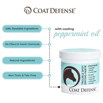 COAT DEFENSE Trouble Spot Drying Paste for Horses - Natural Equine Wound Care That Provides Safe & Effective Relief from Scratches, Sweet Itch, Summer Sores, Proud Flesh, Mud Fever, Girth Rot (10 Oz) - size: 10 Oz
