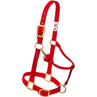 Weaver Leather Original Adjustable Nylon Horse Halter, Weanling/Pony, Hunter Green