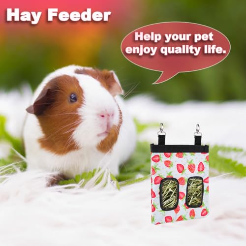 DZWLKJ Guinea Pig Hay Feeder, 600D Polyester, Rabbit Hay Feeder Bag, S -10"x 8"x 0.4", Guinea Pig, Chinchilla, Hamsters, Small Pets, 1 Pack, Lightweight - size: S -10"x 8"x 0.4"