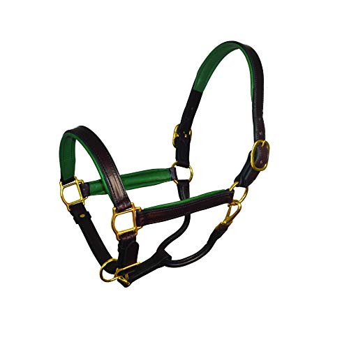 Perri's Horse Soft Padded Leather Halter - color: Havana/Green