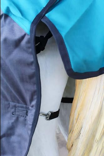 1200D Horse Turnout Blanket Waterproof, Breathable, Heavy-Weight Winter Blanket with 300g Fill, Ripstop Outer Shell - color: Grey/Turquoise, size: 66 inches