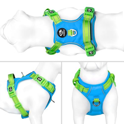 PHOEPET No Pull Dog Harness, Unique Colors Reflective Adjustable Dog Vest - color: Blue Base & Green Straps, size: Medium