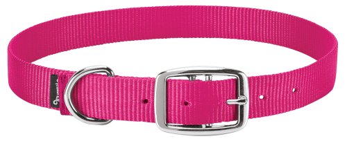 Weaver Leather Livestock Goat Collar, Pink Fusion, Small