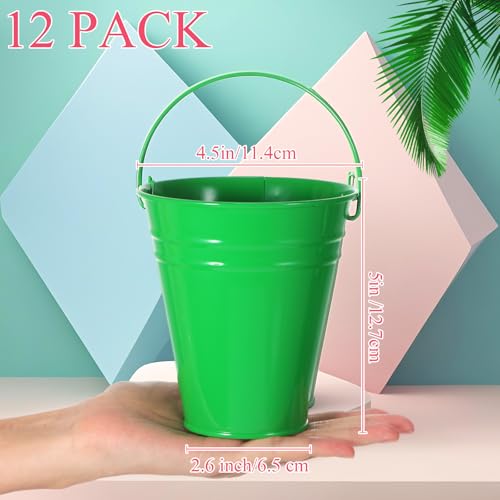Sadnyy 12 Pack 4.5 X 5 inch Pink Green Metal Buckets - color: Pink Green, size: 4.5 x 5 in