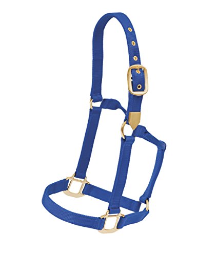 The Colorado Saddlery 8-602 New & Improved Yearling Hi Country Halter, Blue