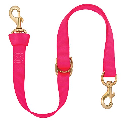Weaver Leather Deluxe Nylon Tie Down Strap