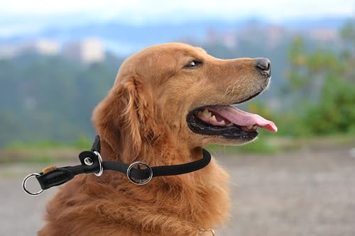Braided Round Martingale Dog Collar, Training Collar with Slidable Stop Ring and Adjustable Stopper - Ideal for Large Dogs (L(1/2") - 20" Long, Black) - color: Black, size: L(1/2") - 20" Long with stopper
