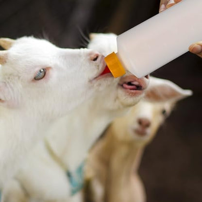 Angoily 400ml Goat Bottle, 5PCS Lamb Bottle Goat Feeding, Small Animal Milk Drink for Feeding s, Nursing s Puppies, Pet s for s