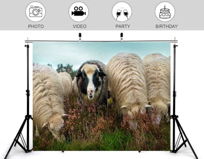 5x3ft Fabric Fluffy Wool Sheep Backdrop Black Faced Sheep Heather Wild Flower Green Moor Grass Overcast Sky for Highland Farm Animal Portrait Decorations Tapestry Photo Booth Props - size: 5x3ft