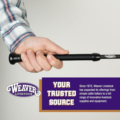 Weaver Livestock Basic Pig Show Whip, Hog Livestock Whip with Braided Nylon Handle, Leather Popper, Lightweight Braided Shaft - color: 36" - Black