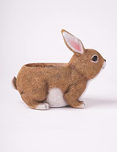 HAUCOZE Rabbit Planter Succulent Pot Animal Statue Modern Decor 8.7 Inch