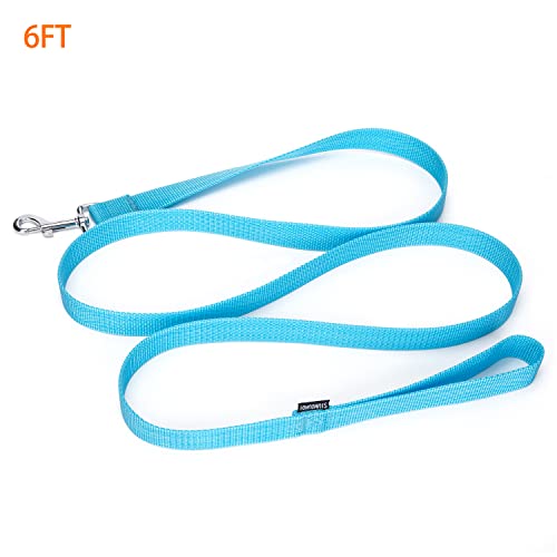 Strong Durable Nylon Dog Training Leash, 1 Inch Wide Traction Rope, 6 ft Long, for Small and Medium Dog (Mint Blue, 6 Feet) - color: Mint blue, size: 6 Feet