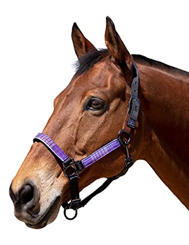 Kensington Premium Breakaway Halter with Padded Nose — Added Breakaway Safety Measures — Snap at Throat for Identical Fit Each Time - color: 2017P-Purple w/Lavender Mint, size: Large