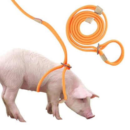 Mini Pig Harness & Leash, Adjustable 8 Feet Long Rope for Small to Medium Pet Pigs - color: Orange