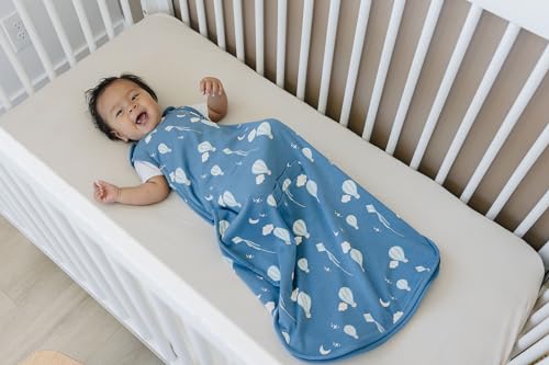 Woolino 4 Season Ultimate Baby Sleep Sack, Merino Wool Baby Sleeping Bag, Organic Cotton Outer, Adjustable 2-24 Months Size Fits Infants & Toddlers - Hot Air Balloon - color: Hot Air Balloons