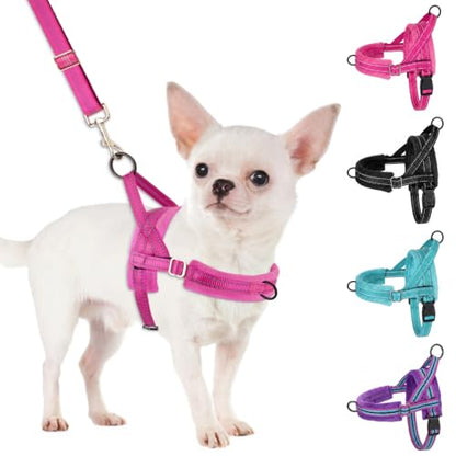 SlowTon No Pull Small Dog Harness and Leash Set with Front Clip | Soft Padded, Neck & Chest Adjustable, Lightweight, Anti-Twist, Puppy Vest Harness Pet Lead Combo for Small Medium Dog, FU XS - color: Fuchsia, size: X-Small