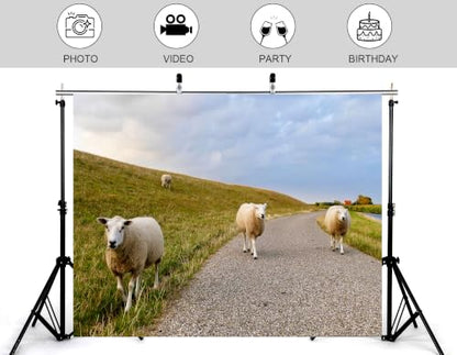 5x3ft Fabric Pasture Sheep Backdrop White Wool Sheep Gravel Path Green Grass Hill Cloudy Sky Background Tapestry Party Farm Animal Wall Decorations Photo Booth Props - size: 5x3ft
