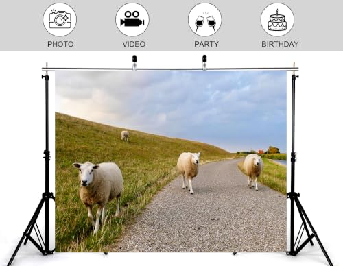 10x10ft Fabric Pasture Sheep Backdrop White Wool Sheep Gravel Path Green Grass Hill Cloudy Sky Background Tapestry Party Farm Animal Wall Decorations Photo Booth Props - size: 10x10ft