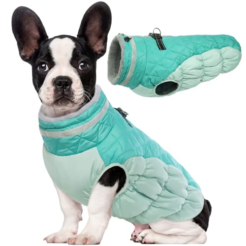 Lelepet Dog Coat Warm Dog Winter Coat Waterproof Dogs Jacket with Harness - color: Neo Mint, size: X-Small