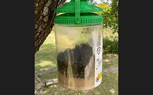 Fly Catcher - Includes All Natural Fly Trap Bait