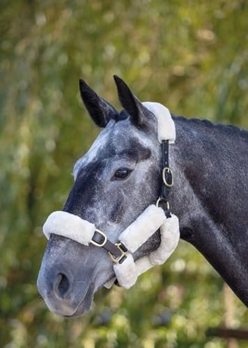 Shires ARMA SupaFleece Halter Set (White, 9 Piece) - color: White, size: 9 Piece