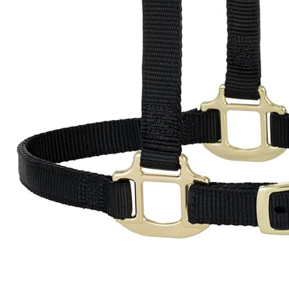 Weaver Equine Breakaway Horse Halter, Supple Leather Crown, Adjustable Chin & Throat Snap Halters for Horses, Equine Tack,Pony Size, Black