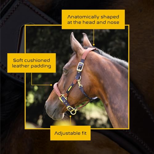 Shires Velociti Lusso Padded Halter - Leather Breakaway - color: Navy, size: Cob