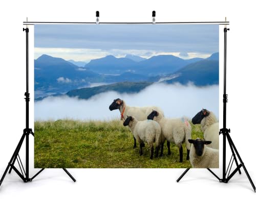 5x3ft Fabric Black Face Wool Sheep Backdrop Green Highland Meadow Misty Fjord Mountain Overcast Sky Photography Background Tapestry Party Alpine Pasture Decorations Photo Booth Props - size: 5x3ft