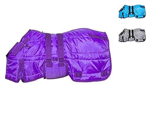 Derby Originals Windstorm 420D Medium Weight Mini Horse & Pony Stable Blanket – Closed Front, 200g Insulation, Breathable Triple-Layer Design, 70T Lining, for Indoor Use Only