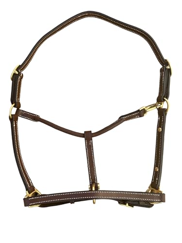 Leaders 3/4" Leather Halter for Horses with Customized Engraved Name Plate Brown Leather with Solid Brass Hardware - size: Horse